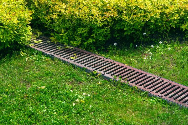 Cost of Lawn Drainage in Peoria
