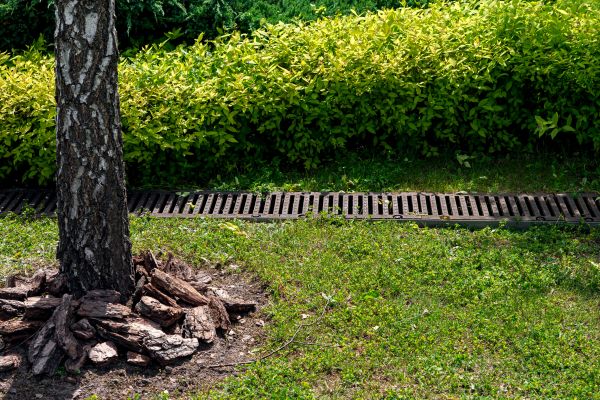 Cost of Yard Water Redirection in Peoria