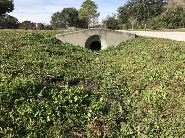 Cost of Swale Drainage Service in Peoria